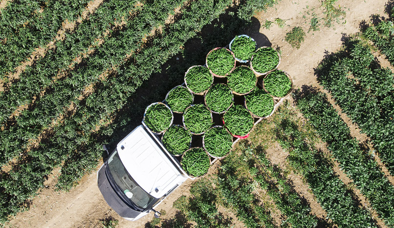 陕西汽车控股集团有限公司